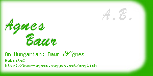 agnes baur business card